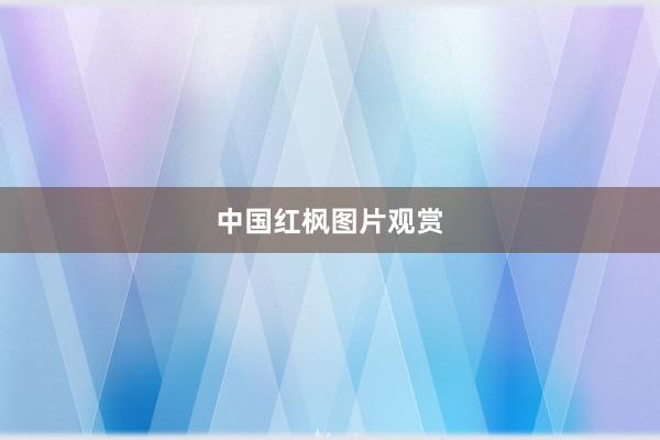 中国红枫图片观赏